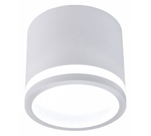 Накладной светильник Favourite Festum 4213-1C
