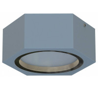 Накладной светильник Favourite Fantum 4666-1U