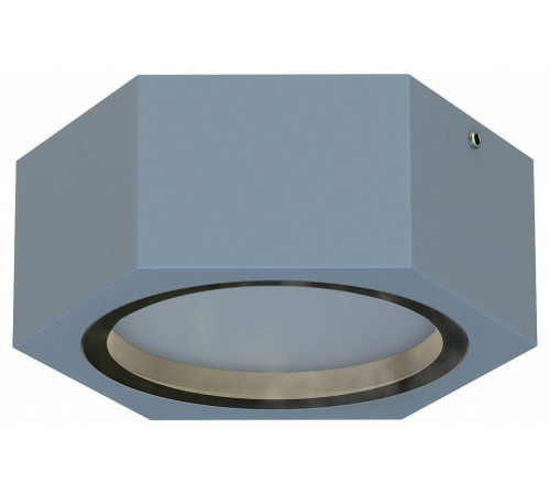 Накладной светильник Favourite Fantum 4666-1U