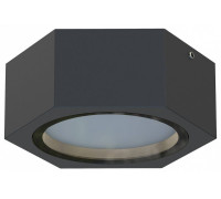 Накладной светильник Favourite Fantum 4667-1U