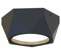 Накладной светильник Favourite Fantum 4670-1U