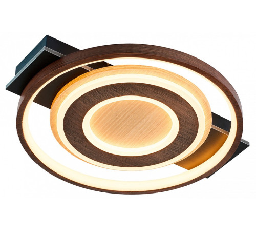 Накладной светильник F-promo Labrea 4699-1C