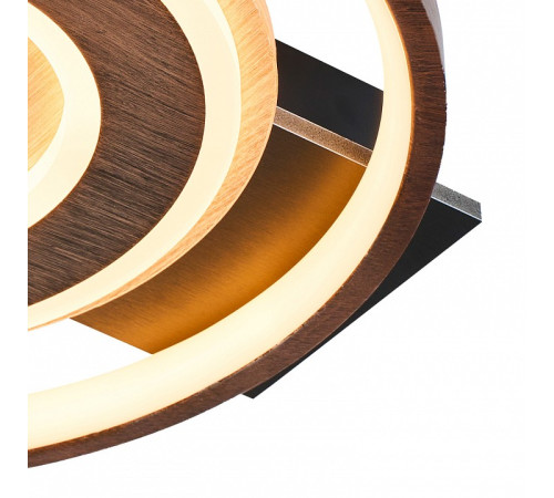 Накладной светильник F-promo Labrea 4699-1C