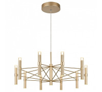 Подвесная люстра Favourite Blick 4759-10P