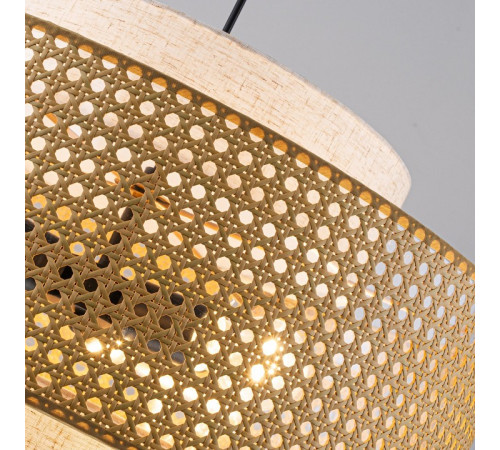 Подвесная люстра Favourite Organicum 4768-3P