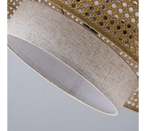 Подвесная люстра Favourite Organicum 4768-3P