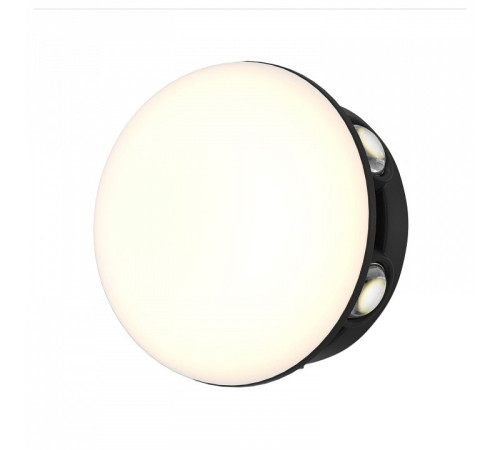 Накладной светильник Favourite Option 4853-1W