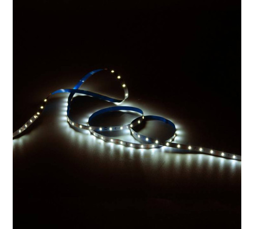 Лента светодиодная Gauss Basic BT005