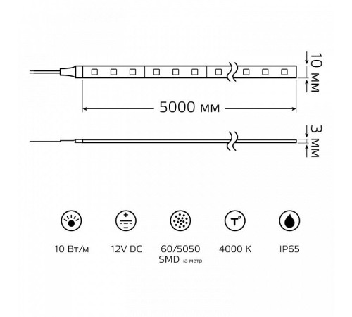 Лента светодиодная Gauss Basic BT053