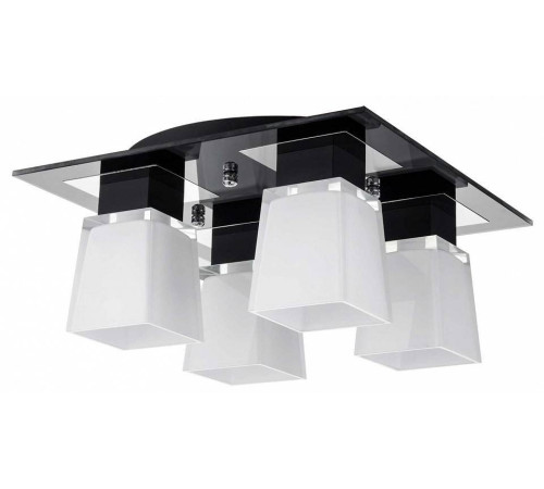Накладной светильник Lussole Lente GRLSC-2507-04