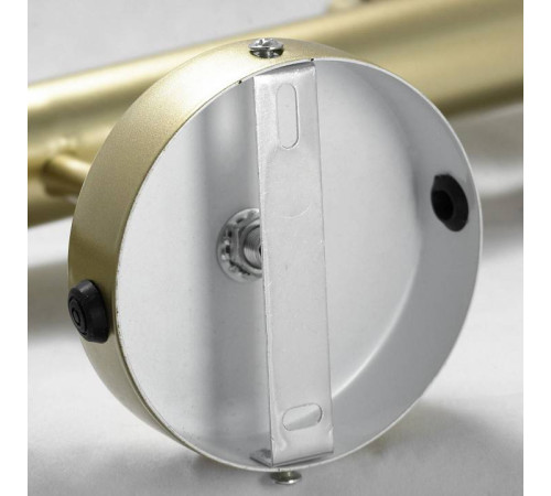 Люстра на штанге Lussole Murray GRLSP-8169