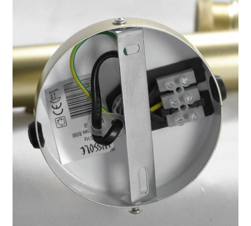 Люстра на штанге Lussole Murray GRLSP-8169