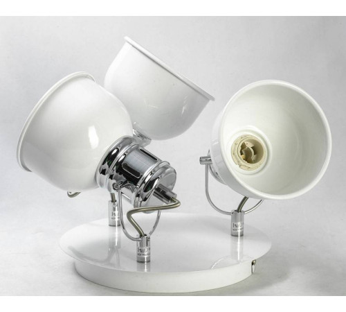 Спот LGO Carrizo GRLSP-9956