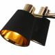Люстра на штанге ILLUMICO Abelie IL6116-6COU-79 BK GD Abelie