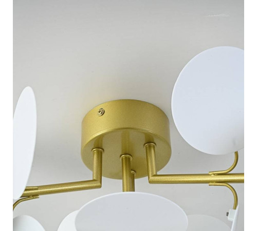 Потолочная люстра Imperiumloft MATISSE MATISSE-C-SELF01