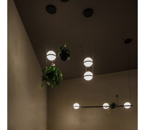 Подвесной светильник Imperiumloft Palma Wall Lamp 22.93726