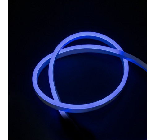 Шнур световой Jazzway PFN-01 PFN-01 2835/120 BLUE IP65 (1m)