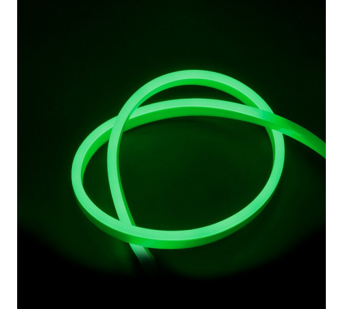 Шнур световой Jazzway PFN-01 PFN-01 2835/120 GREEN IP65 (1m)