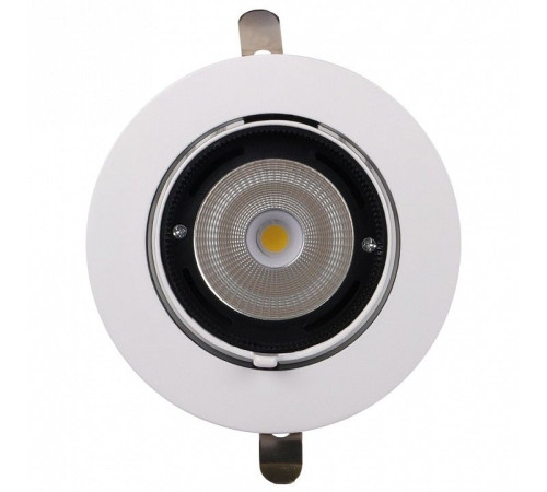 Встраиваемый светильник Jazzway PLED DL4 30W 4000K 24° White IP40