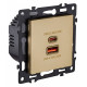 Розетка 2хUSB type A и C без рамки Kollinger Asthetik AS-024GD