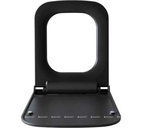 Сиденье для унитаза Allen Brau INFINITY 2 Soft-Close антрацит 4.21014.AN