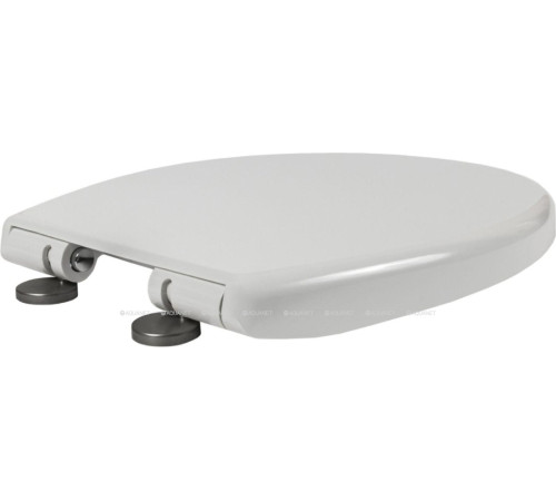 Сиденье для унитаза Jacob Delafon Patio / Brive микролифт 017503