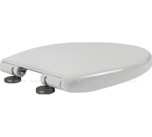 Сиденье для унитаза Jacob Delafon Patio / Brive микролифт 017503