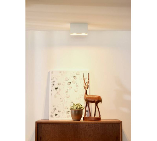 Накладной светильник Lucide Bodi 09101/02/31