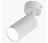 Светильник на штанге LEDS POWER SPOT 009759