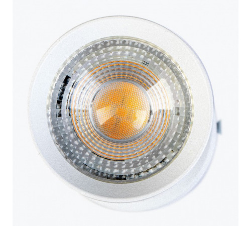 Светильник на штанге LEDS POWER SPOT 009759