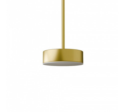 Подвесной светильник LIGHTERA Taylor LE242L-1G