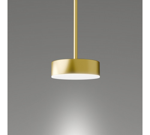 Подвесной светильник LIGHTERA Taylor LE242L-1G