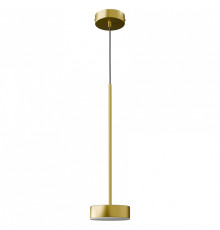 Подвесной светильник LIGHTERA Taylor LE242L-1G