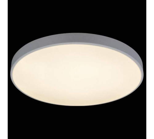 Накладной светильник Loft it Axel 1 10002/48 White