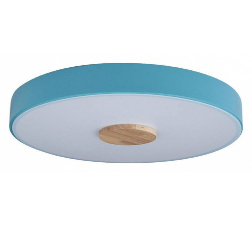 Накладной светильник Loft it Axel 2 10003/24 Blue