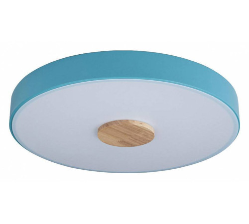 Накладной светильник Loft it Axel 2 10003/24 Blue