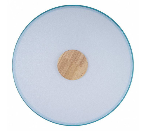 Накладной светильник Loft it Axel 2 10003/24 Blue