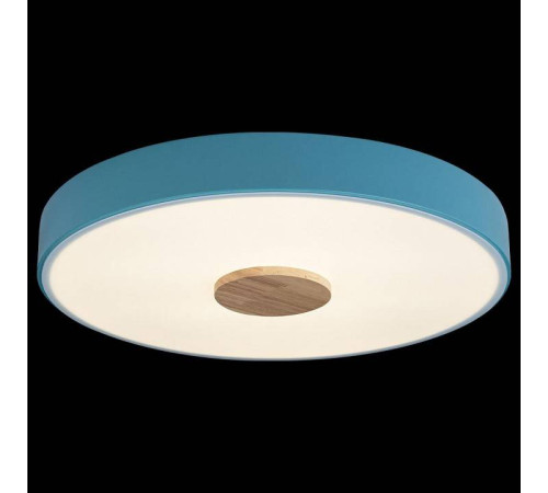 Накладной светильник Loft it Axel 2 10003/24 Blue