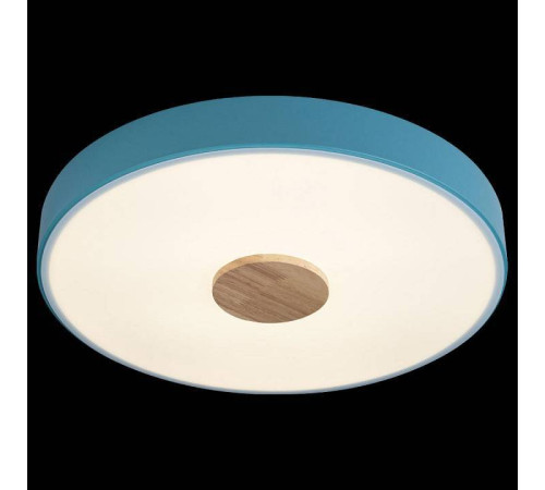 Накладной светильник Loft it Axel 2 10003/24 Blue
