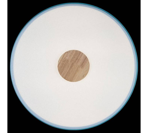 Накладной светильник Loft it Axel 2 10003/24 Blue