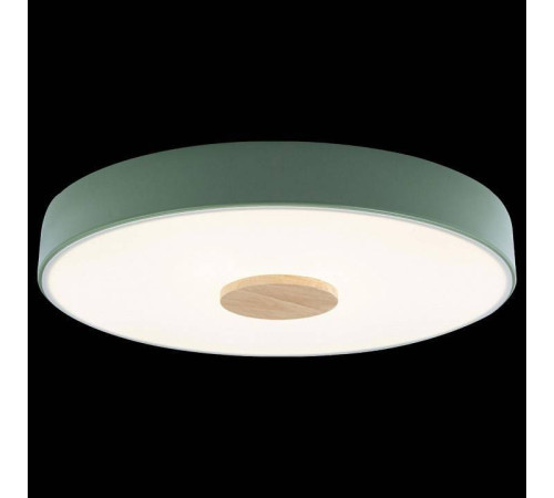 Накладной светильник Loft it Axel 2 10003/24 Green