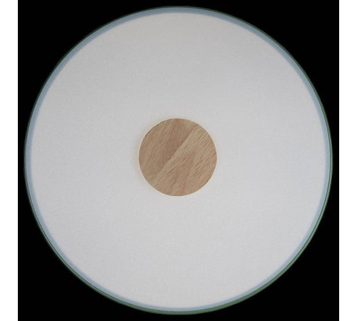 Накладной светильник Loft it Axel 2 10003/24 Green