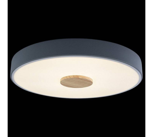 Накладной светильник Loft it Axel 2 10003/24 Grey