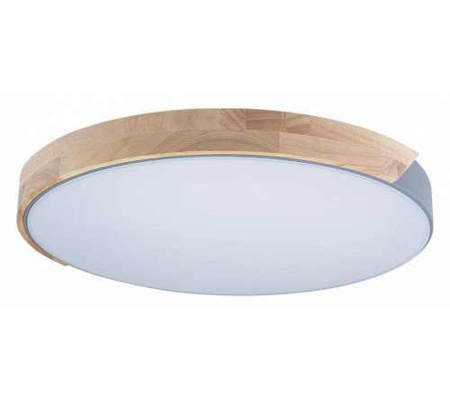 Накладной светильник Loft it Axel 3 10004/36 Grey