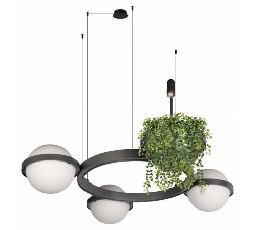 Подвесная люстра Loft it Jardin 10121/3 Dark grey