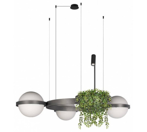 Подвесная люстра Loft it Jardin 10121/3 Dark grey
