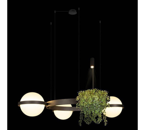 Подвесная люстра Loft it Jardin 10121/3 Dark grey