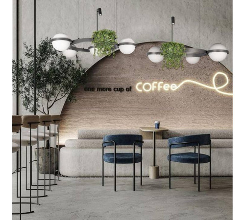 Подвесная люстра Loft it Jardin 10121/3 Dark grey