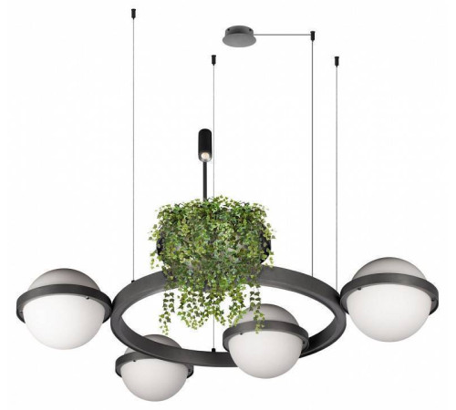 Подвесная люстра Loft it Jardin 10121/4 Dark grey
