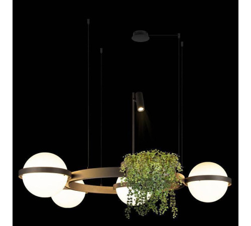 Подвесная люстра Loft it Jardin 10121/4 Dark grey